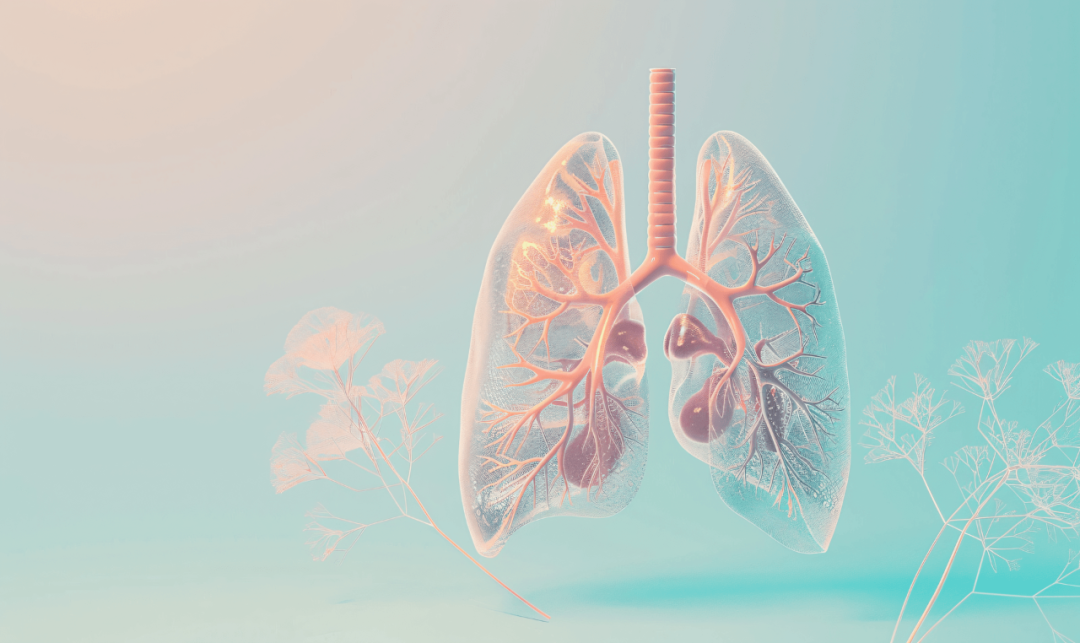 640 (1).png 640 (1).png