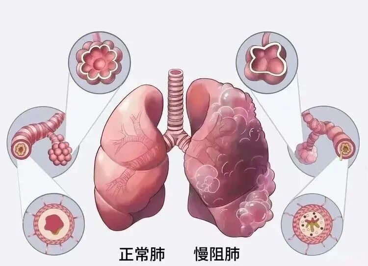 640 (2).jpg 640 (2).jpg